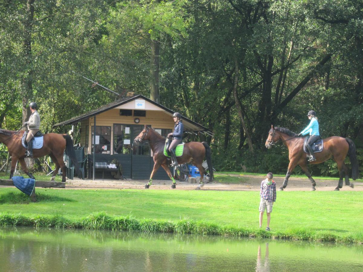 Hotel De Watermolen Bocholt Екстериор снимка
